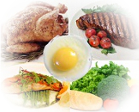 Protein intake pregnancy
